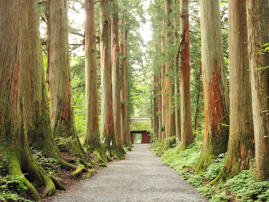 Hotel Tsubakino Yamanouchi  Ngoại thất bức ảnh
